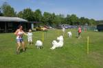 Samojeden Treffen Ungerndorf 2017