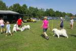 Samojeden Treffen Ungerndorf 2017