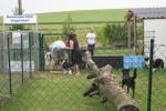 10 – jähriges Vereinsfest des Hundesportclubs Ungerndorf