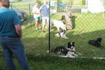 10 – jähriges Vereinsfest des Hundesportclubs Ungerndorf