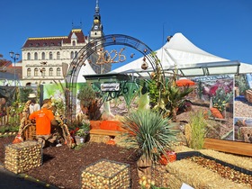Zwiebelfest 2026