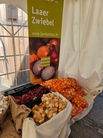 Zwiebelfest 2026
