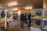 Kleintierausstellung Laa 012