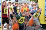 Zwiebelfest 2017 - Laa/Thaya