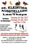 36. Kleintierausstellung