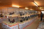 36. Kleintierausstellung