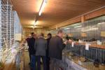 36. Kleintierausstellung