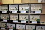36. Kleintierausstellung