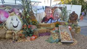 Zwiebelfest 2018