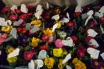 Blumengrüße zum Valentinstag