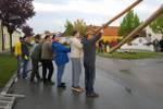 Maibaum 2019