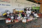 17. Benefizfest Oldies Ungerndorf