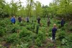 Hundert neue Bäume für das Ungerndorfer Waldstück Großes Wödl