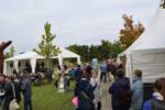2. Kreativfest in Laa/Thaya
