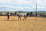 Eröffnung der Pferdefreunde Ranch Heart Breaker Horses Hanfthal