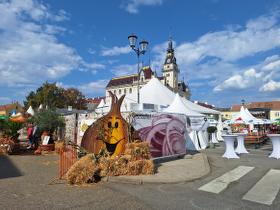 27. Zwiebelfest in Laa/Thaya