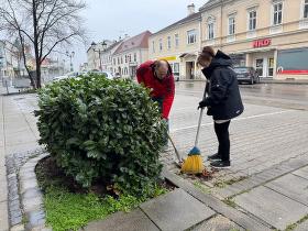 Tag der Stadtverschönerung 2025