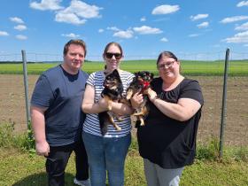 Chihuahua Treffen in Ungerndorf