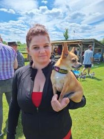 Chihuahua Treffen in Ungerndorf