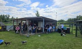 Chihuahua Treffen in Ungerndorf