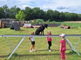Ungerndorfer Ferienspiel & Vereinsfest Hundesportclub