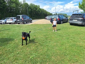 Ungerndorfer Ferienspiel & Vereinsfest Hundesportclub
