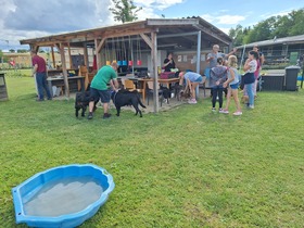 Ungerndorfer Ferienspiel & Vereinsfest Hundesportclub