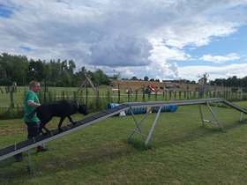 Ungerndorfer Ferienspiel & Vereinsfest Hundesportclub