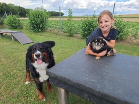 Ungerndorfer Ferienspiel & Vereinsfest Hundesportclub