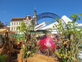 Zwiebelfest in Laa an der Thaya 2025