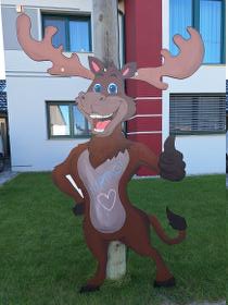 Ungerndorfer Kirtag
