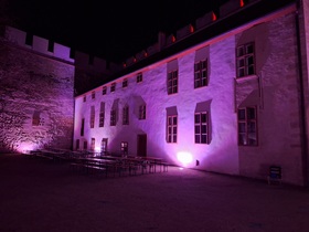 Lauf um die Burg 2025