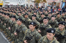 Feierliche Angelobung am Laaer Stadtplatz