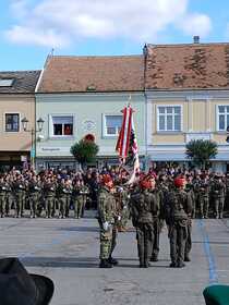 Feierliche Angelobung am Laaer Stadtplatz