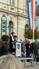 Feierliche Angelobung am Laaer Stadtplatz