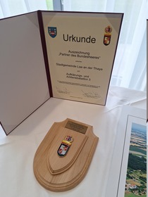 Feierliche Angelobung am Laaer Stadtplatz