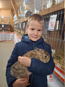 42. Kleintierausstellung in Laa/Thaya