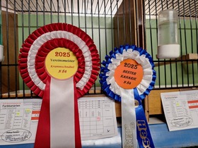 42. Kleintierausstellung in Laa/Thaya