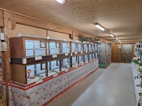 42. Kleintierausstellung in Laa/Thaya