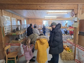 42. Kleintierausstellung in Laa/Thaya