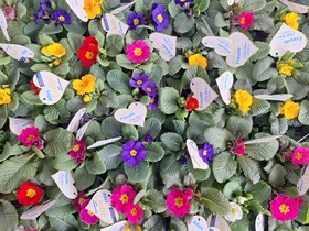 Wir wünschen einen schönen Valentinstag!