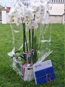 Goldene Hochzeit Eva und Konrad Homolka