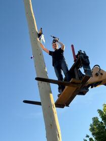 Maibaum 2026