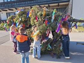 Maibaum 2026