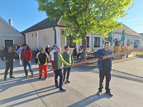 Maibaum 2026