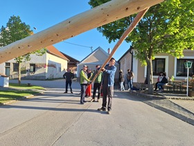 Maibaum 2026