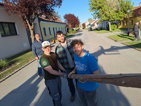 Maibaum 2026