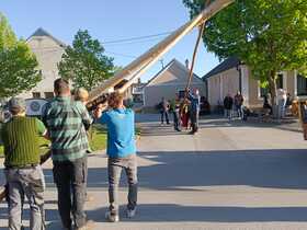 Maibaum 2026