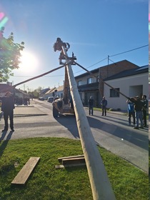 Maibaum 2026