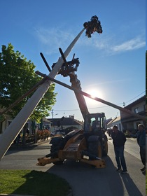 Maibaum 2026